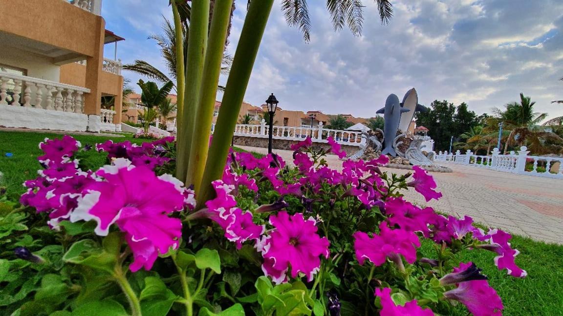 Dolphin Beach Resort Yanbu Exterior foto